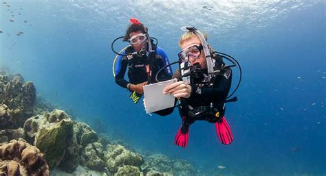 Sal Rio De Instrutor De Mergulho No Brasil Quero Trabalhar