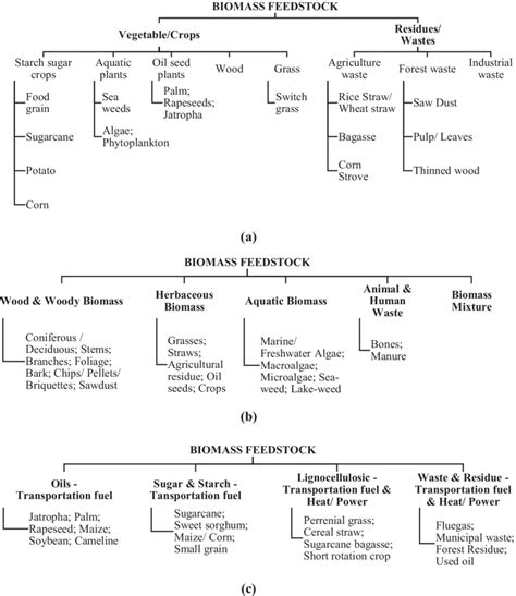 A The Classification Of Biomass Feedstock Based On The Source Of Download Scientific Diagram