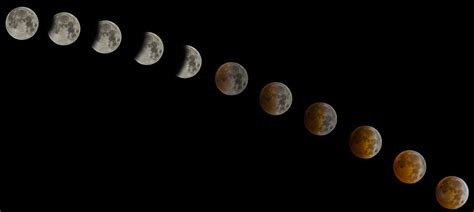 Blood Moon Eclipse Photograph by Jeremy Jensen