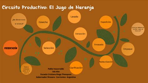 Circuito Productivo De La Naranja Etapas Y Proceso Productivo The