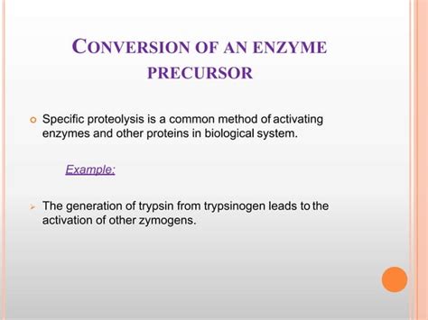 Factors Affecting Enzyme Activity PPT