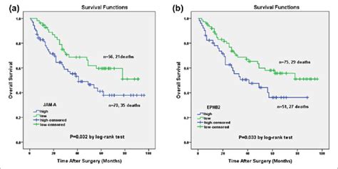 Cumulative Survival Curves Of Jam A And Ephb In Lung Ac Patients The