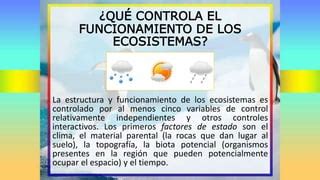 Estructura De Los Ecosistemas Ppt