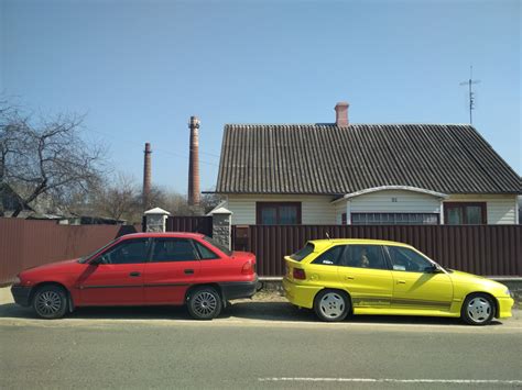 Фотография С Пасхой Всех Пасхальные кролики После правильной астры