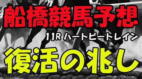 地方競馬予想 】船橋競馬場 11r ハートビートレイン 競馬 地方競馬 地方競馬予想 船橋競馬 船橋競馬予想 Youtube