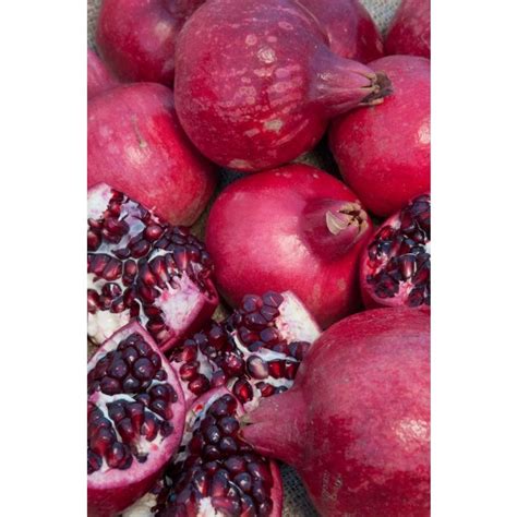 Parfianka Pomegranate Tree Shipped In Soil By Burchell Nursery Store