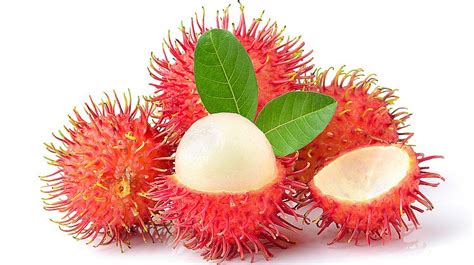 BUAH RAMBUTAN (HARGA DIKIRA MENGIKUT SUKATAN 1KG) – Qniti Bazaar