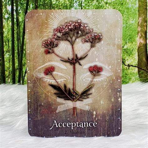 Magickal Herb Oracle - Enchanting secrets from the garden - Gypsy Moon
