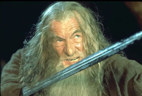 Gandalf Pán Prstenů Společenstvo Prstenu Hd Stažení Tapety