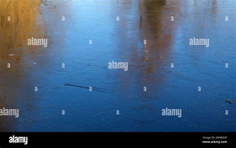 A Frozen Lake With Trees Reflected On The Ice Stock Photo Alamy