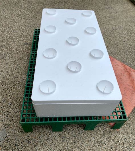 Hydroponics Box And Styro Cups Furniture Home Living Gardening