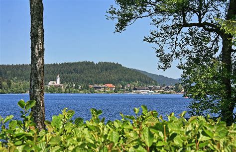 Ausfl Ge Im Schwarzwald Ferienwohnung Meierhof St M Rgen Schwarzwald