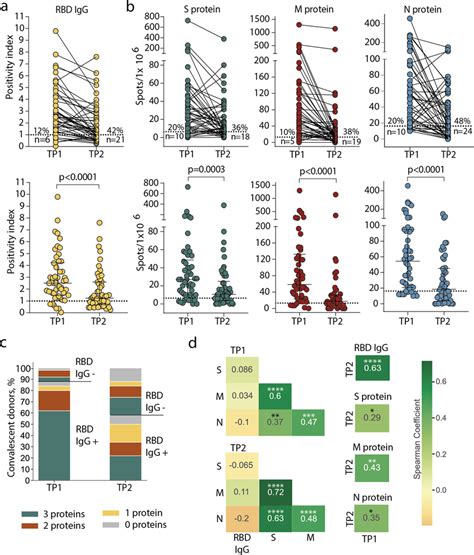 Persistence Of Humoral And Cellular Response In CP Cohort A Levels Of