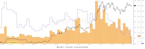 Bitcoin Transaktionsvolumen Erreicht Allzeittief Btc Preisrückgang