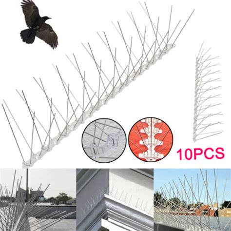 Pcs Stainless Steel Anti Bird Spikes Cm Lengths Pigeon Deterrent