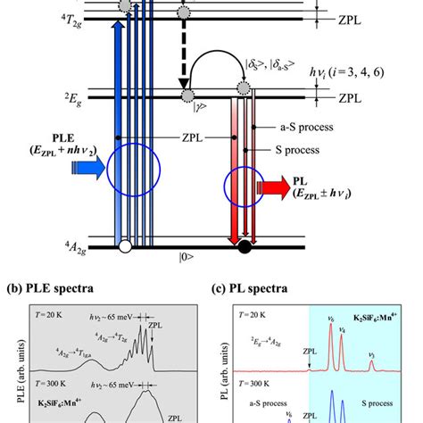 A Phenomenological Picture Of The Luminescence Excitation And