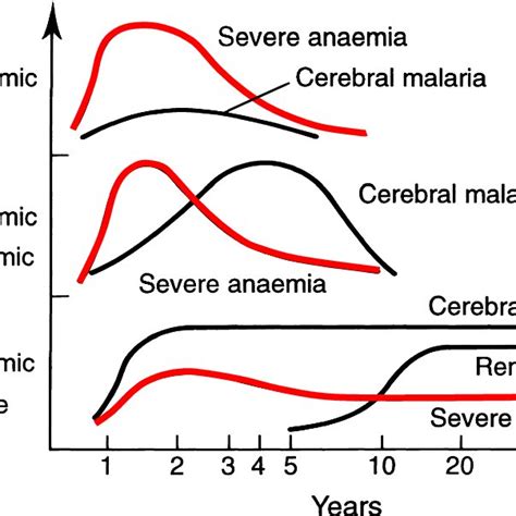 Relationship Of Severe Falciparum Malaria Manifestations To Age At Download Scientific Diagram