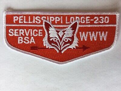 Pellissippi Lodge 230 S 45 Orange SERVICE Pocket Flap EBay