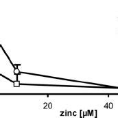 Concentration Dependent Effect Of Zinc On Cyclic Nucleotide Hydrolysis