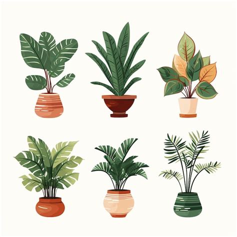 Premium AI Image A Group Of Different Types Of House Plants In Pots