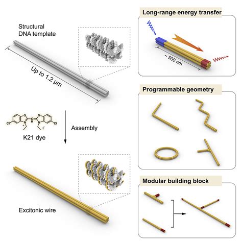 Dna Templated Programmable Excitonic Wires For Micron Scale Exciton