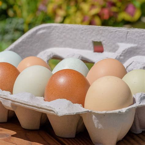 Farm Fresh Eggs