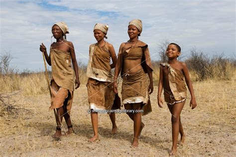 Photos And Pictures Of Naro Bushman San Women Walking Central