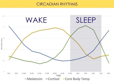 Circadian Lighting System | Shelly Lighting