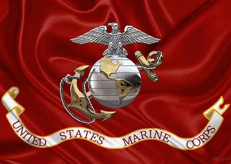 U S Marine Corps C O And Warrant Officer Eagle Globe And Anchor