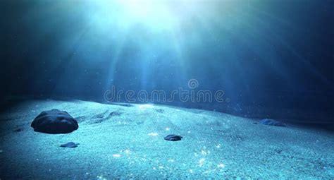 Underwater Sea Floor stock image. Image of floor, deep - 50733409