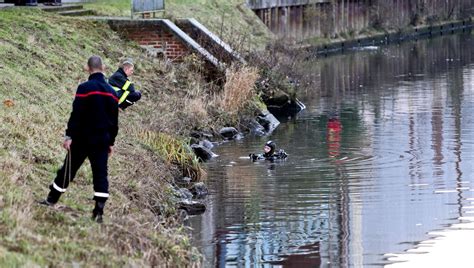 Les pompiers plongeurs de Dijon sauvent des sangliers tombés dans le