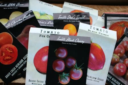 Growing Heirloom Tomatoes