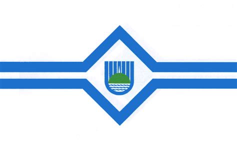 Флаг Биробиджана