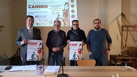 La Mancomunitat De L Horta Sud Crea Un Censo De ADN Canino Que Mejora