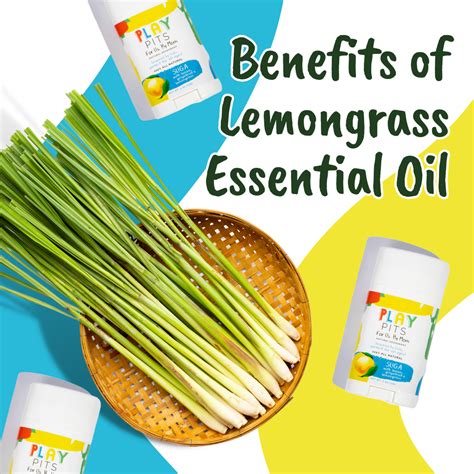 Benefits Of Lemongrass Essential Oil Play Pits