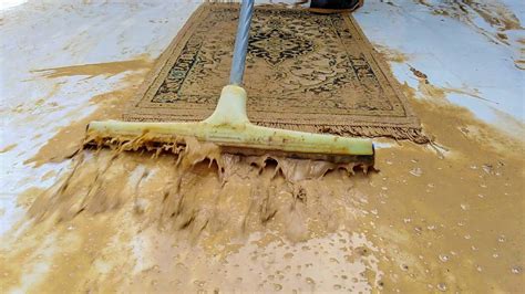 Time Lapse Cleaning Super Dirty Carpet With Manual Brushing Anti