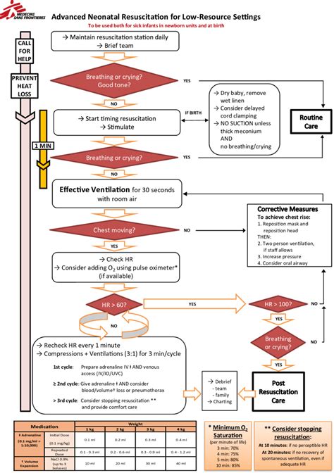 Part 11 Neonatal Resuscitation Circulation