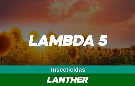 Insecticida Lambda 5 Lanther Quimica Agrofy