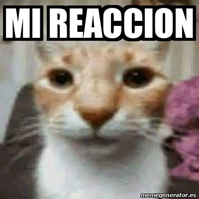 Meme Personalizado Mi Reaccion 33083637