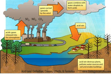 Acid Rain Formation Diagram