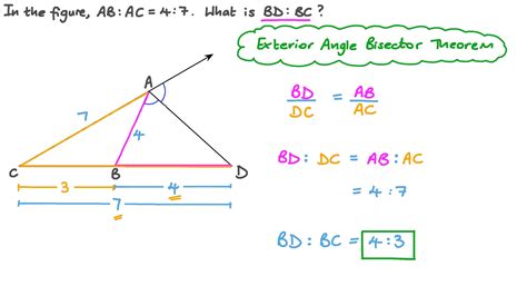 Triangle Angle Bisector Theorem Worksheet - Angleworksheets.com