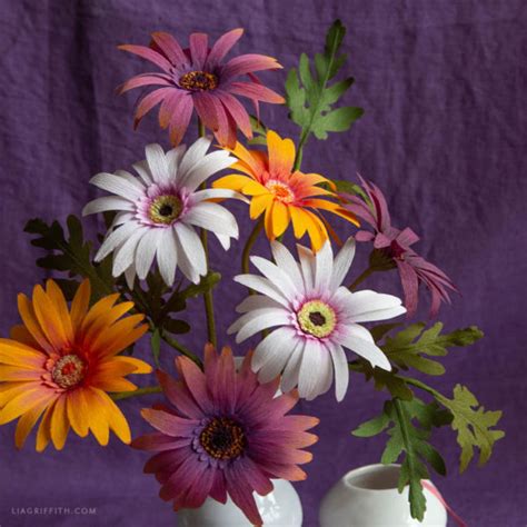 Crepe Paper African Daisy Member Make Workshop Lia Griffith