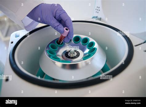 Laboratory Assistant Puts Test Tube With Blood Sample Into Centrifuge