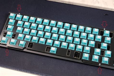 Ic Cerberus Frl Tkl Keyboard With Glowing Eyes