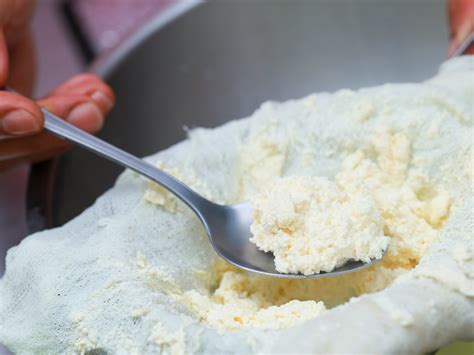 4 Easy Ways to Make Ricotta Cheese (with Pictures)