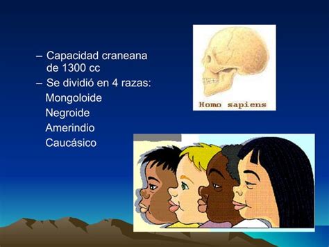 El Proceso De Hominizacion Ppt