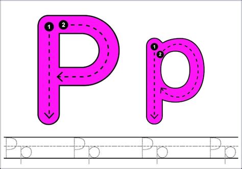 Premium Vector Learning English Alphabet For Kids Letter P Tracing