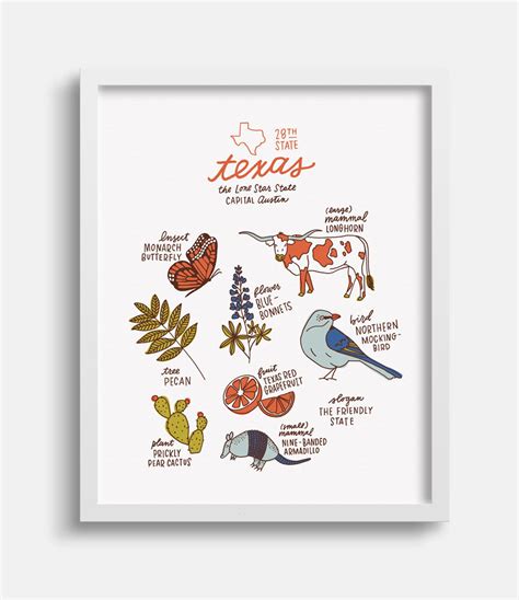 Texas State Symbols Illustration Print - Etsy