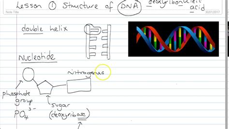 Lesson 1 Structure Of Dna Youtube