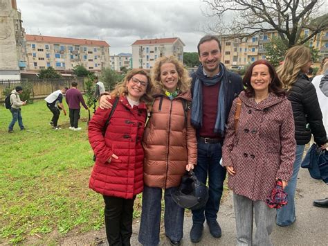 Palermo Chinnici Piantare 100 Alberi A Scuola Migliore Risposta Ai